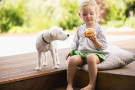 Das Unternehmen Wood - Lounge